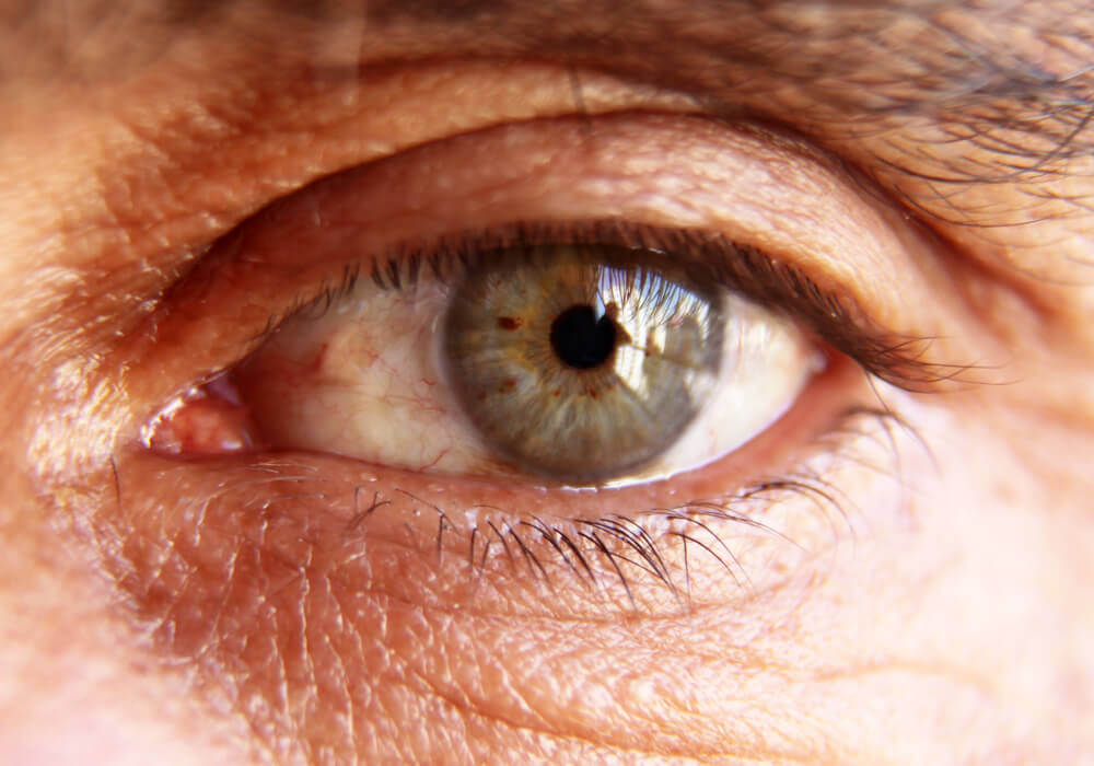 research on diabetic eye disease